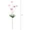 26" Pink Pom Pom Stem by Ashland®